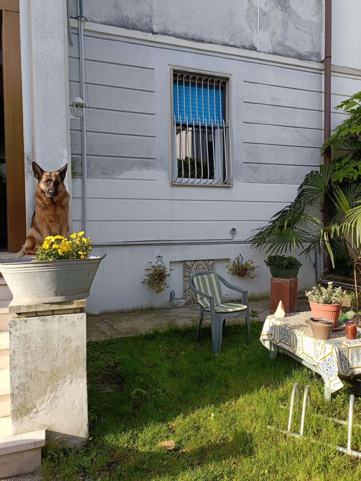 Chez Mavipagi Apartment